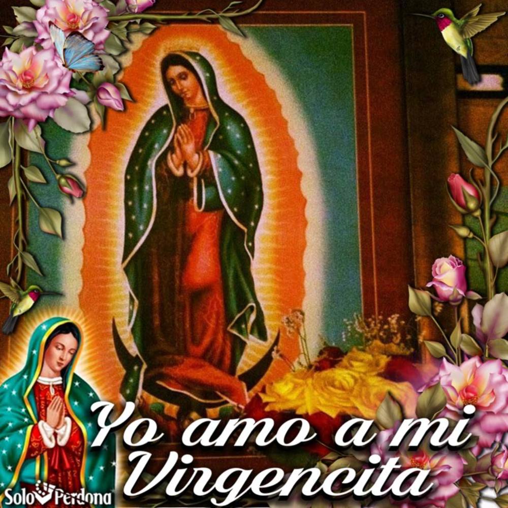 Meet your Posher, Elena